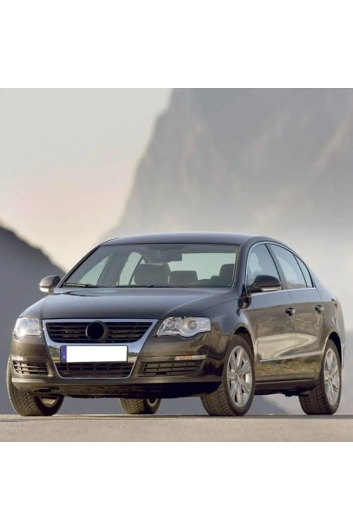 Terra Organik 1.4TSi CAX Motor Buji Takımı 101905626 VW Passat B6 ile uyumlu 2008-2011 Terra Organik
