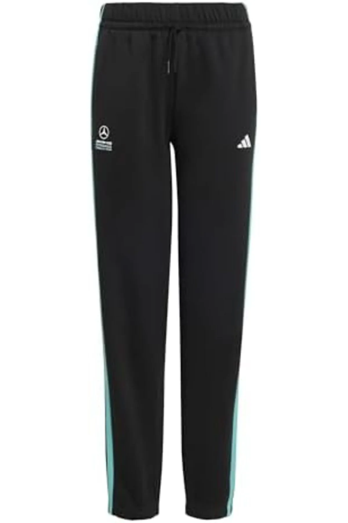 YAKE STORE MERCEDES - AMG PETRONAS FORMULA 1 TEAM DNA PANT YAKE STORE 2940